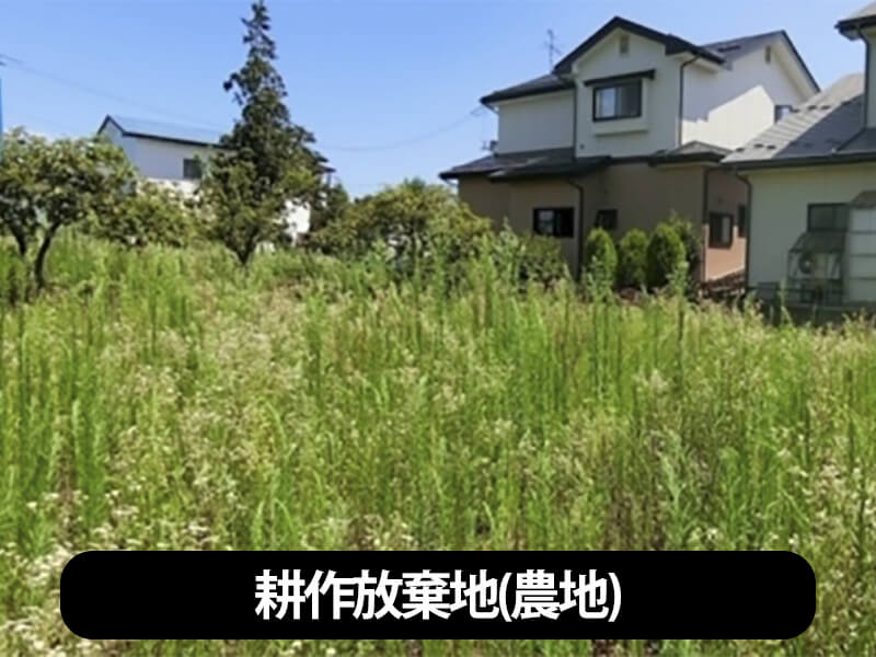 売れない不動産を売る家フリマ説明ページの画像4